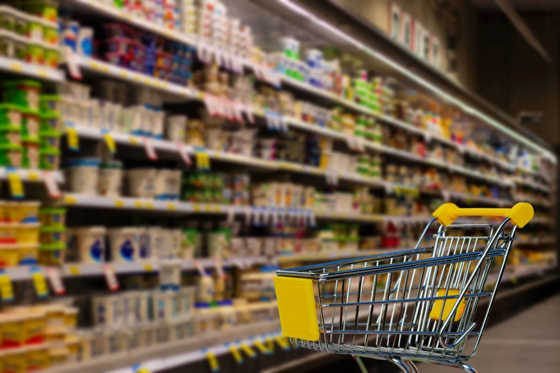 В Алтайском крае социально значимые продукты стали дешевле
