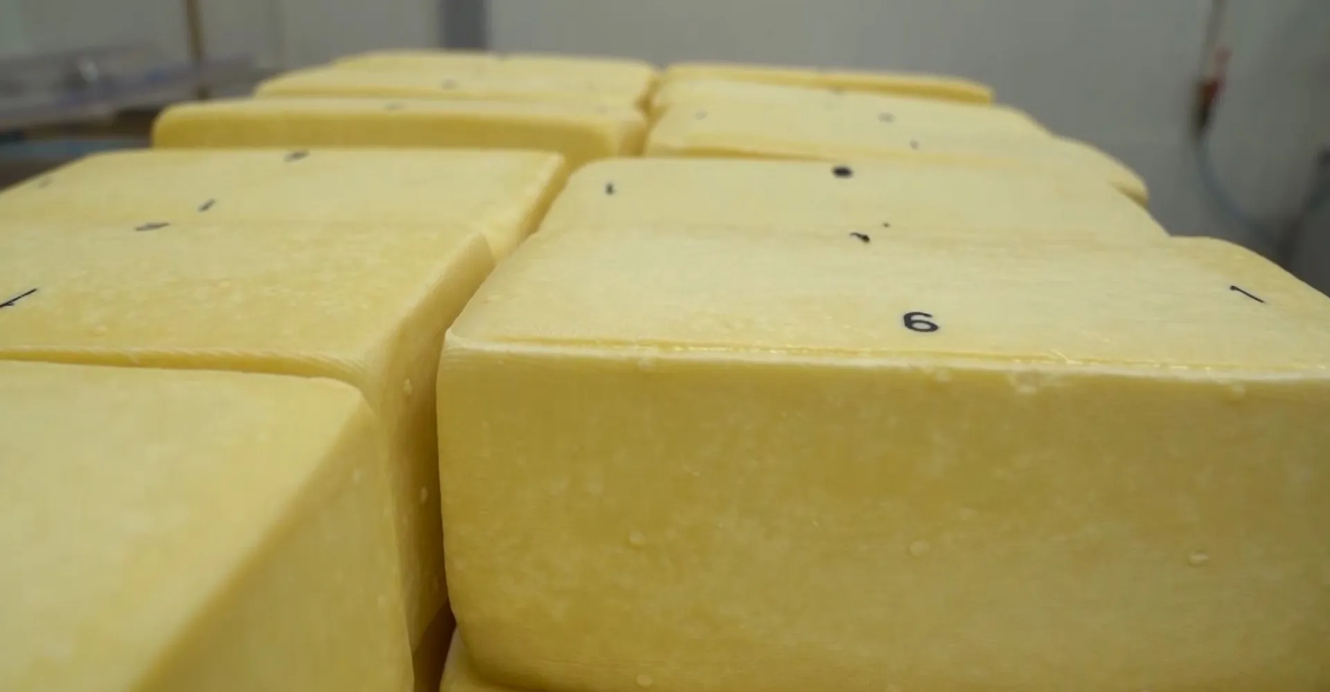 Алтайские продукты отмечают Российским знаком качества Алтайские продукты отмечают Российским знаком качества