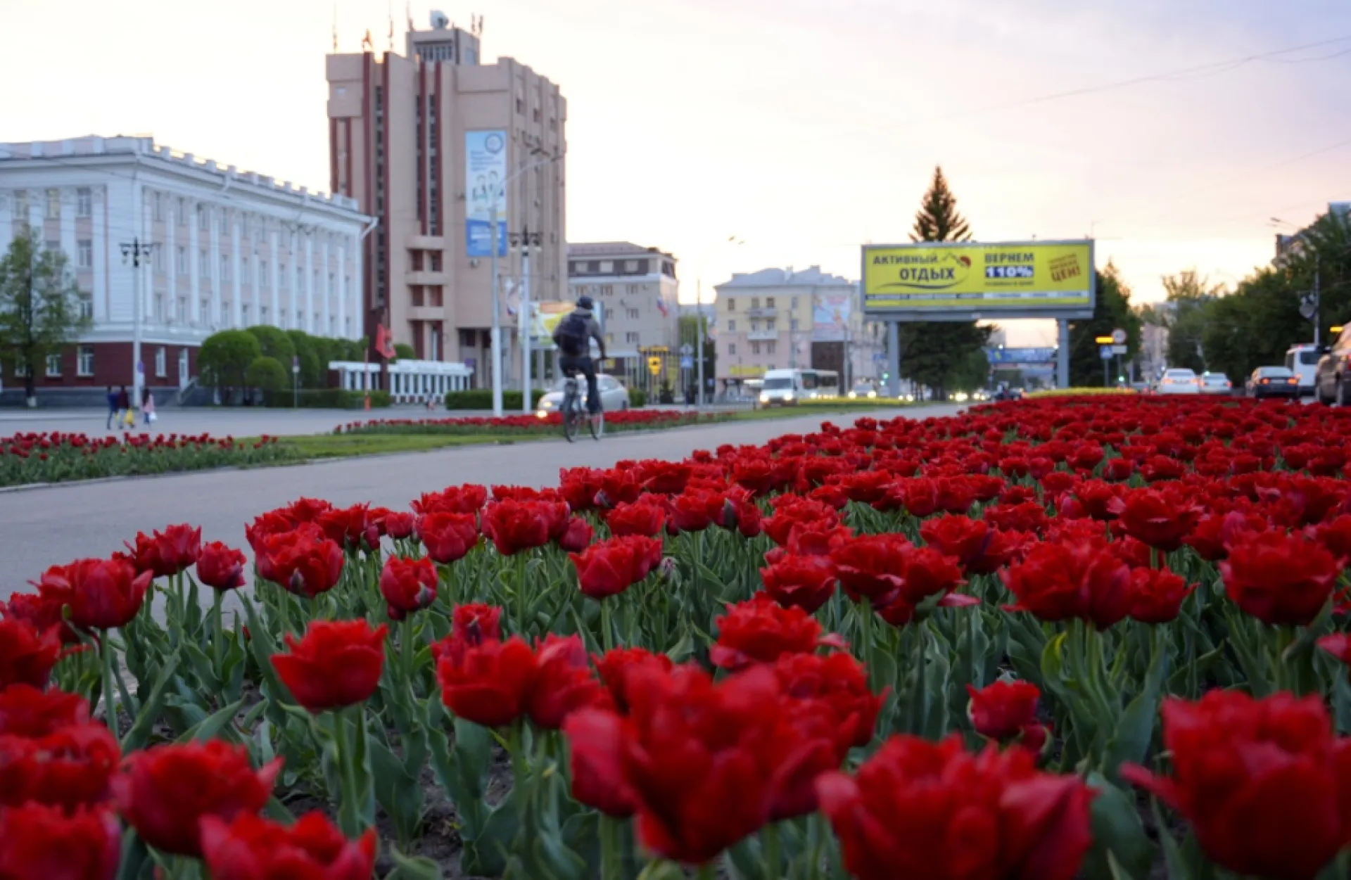 Более 400 тысяч цветов высадят на барнаульских клумбах