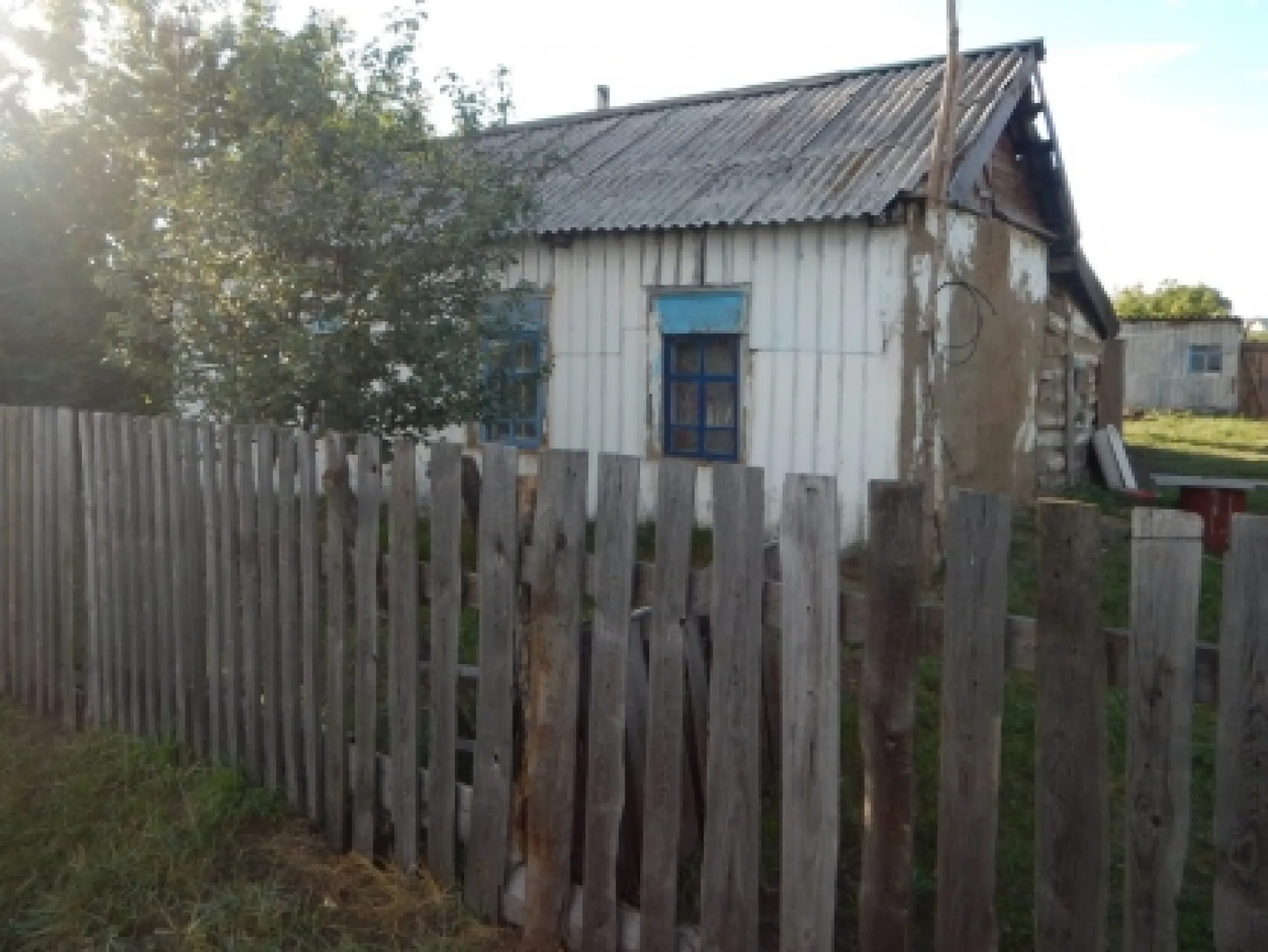 Нетрезвый мужчина убил подругу сожительницы в Алтайском крае