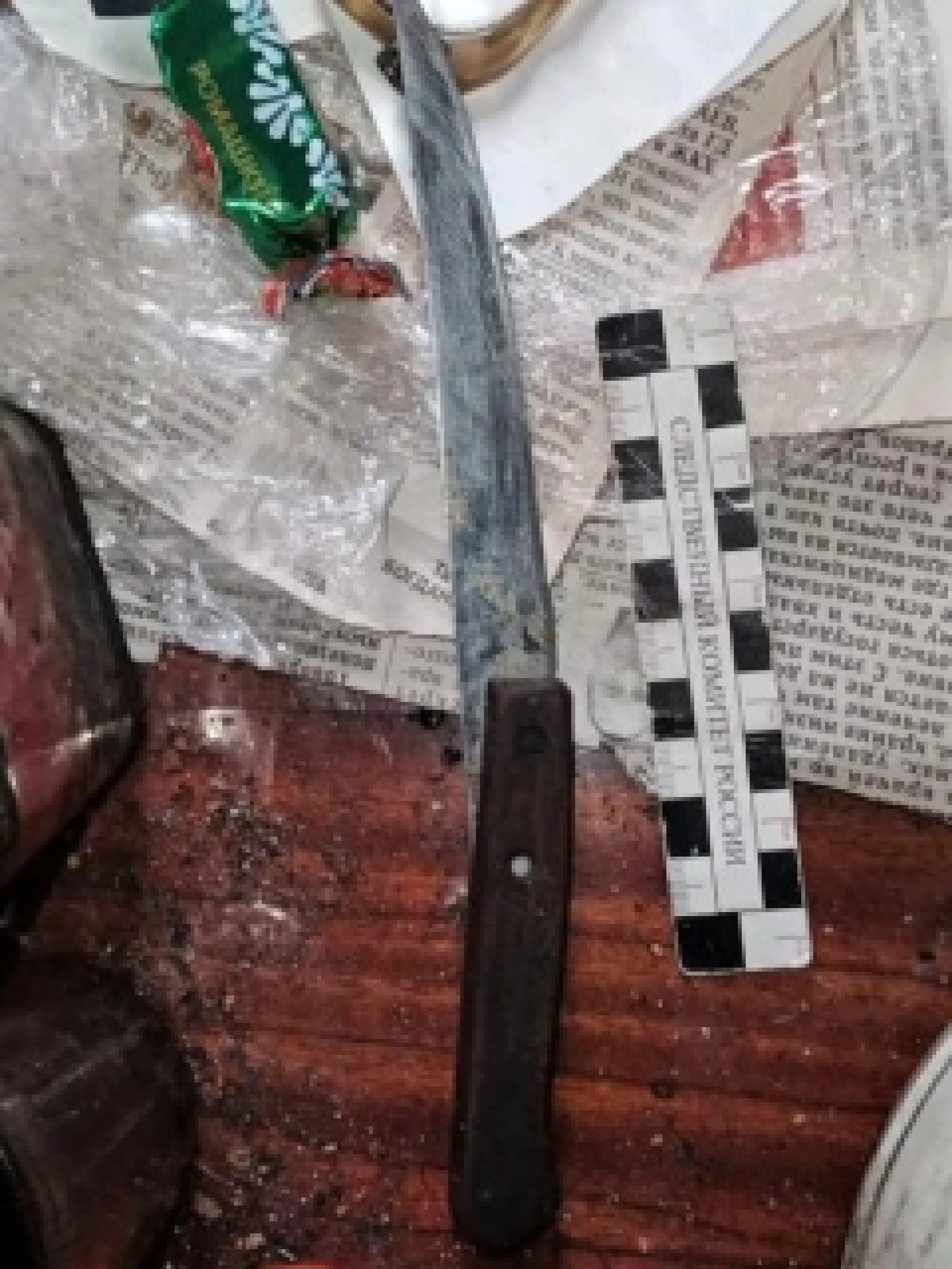 Смертоносного сельчанина заключили под стражу в Алтайском крае