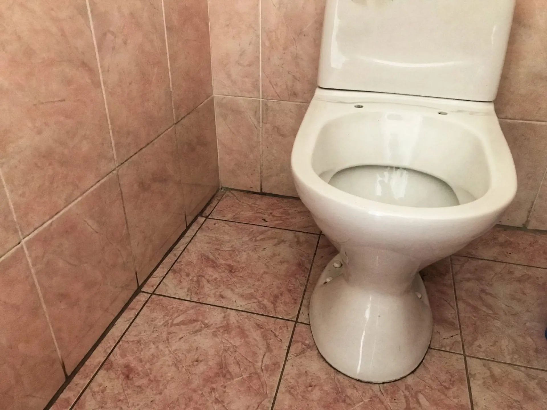 Вынесено решение по делу о краже двух унитазов в школе Алтайского края Вынесено решение по делу о краже двух унитазов в школе Алтайского края