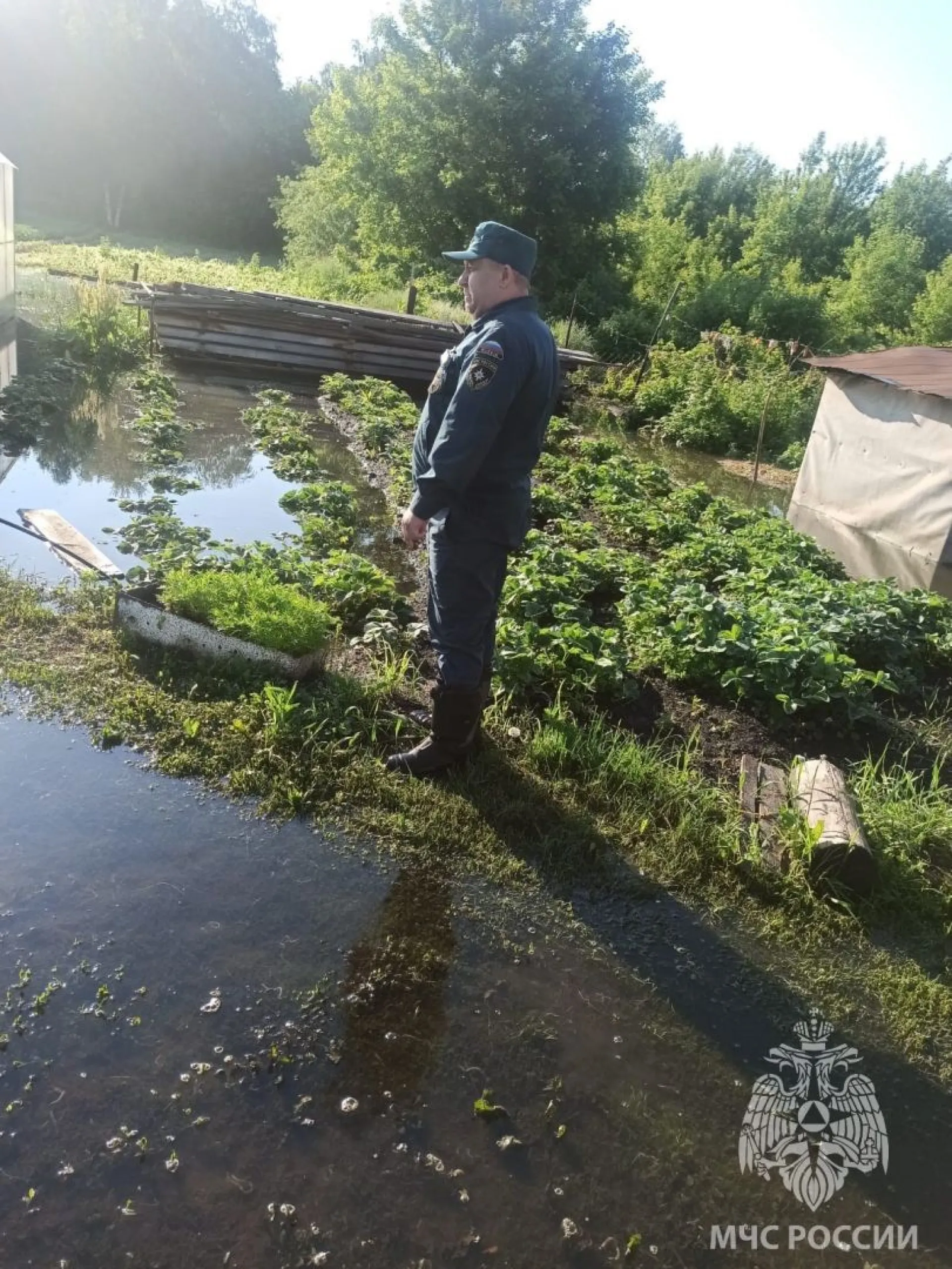 Вода в Оби поднялась выше критической отметки в Усть-Пристанском районе
