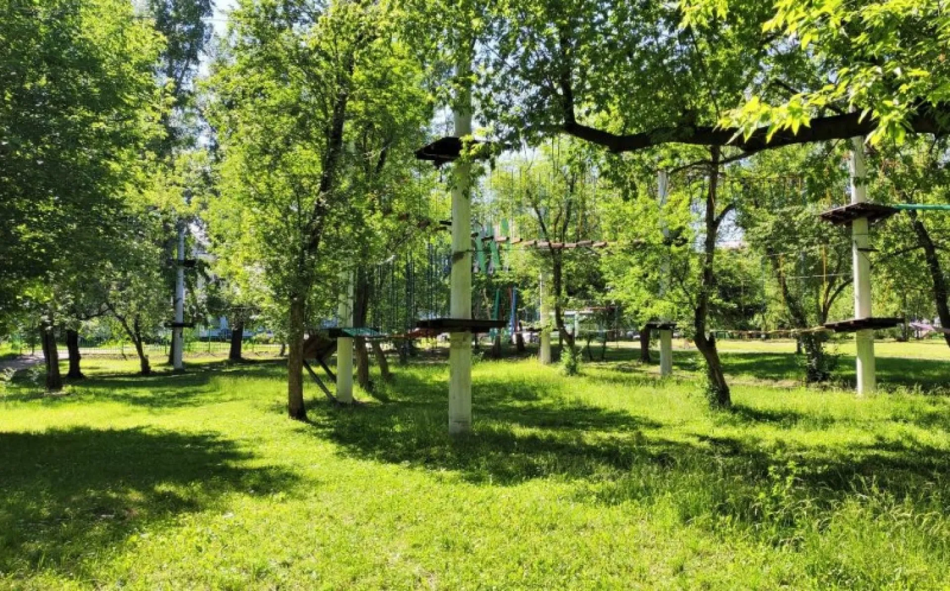 Владельцу веревочного парка в Новоалтайске, где травмировалась девочка, назначили наказание Владельцу веревочного парка в Новоалтайске, где травмировалась девочка, назначили наказание