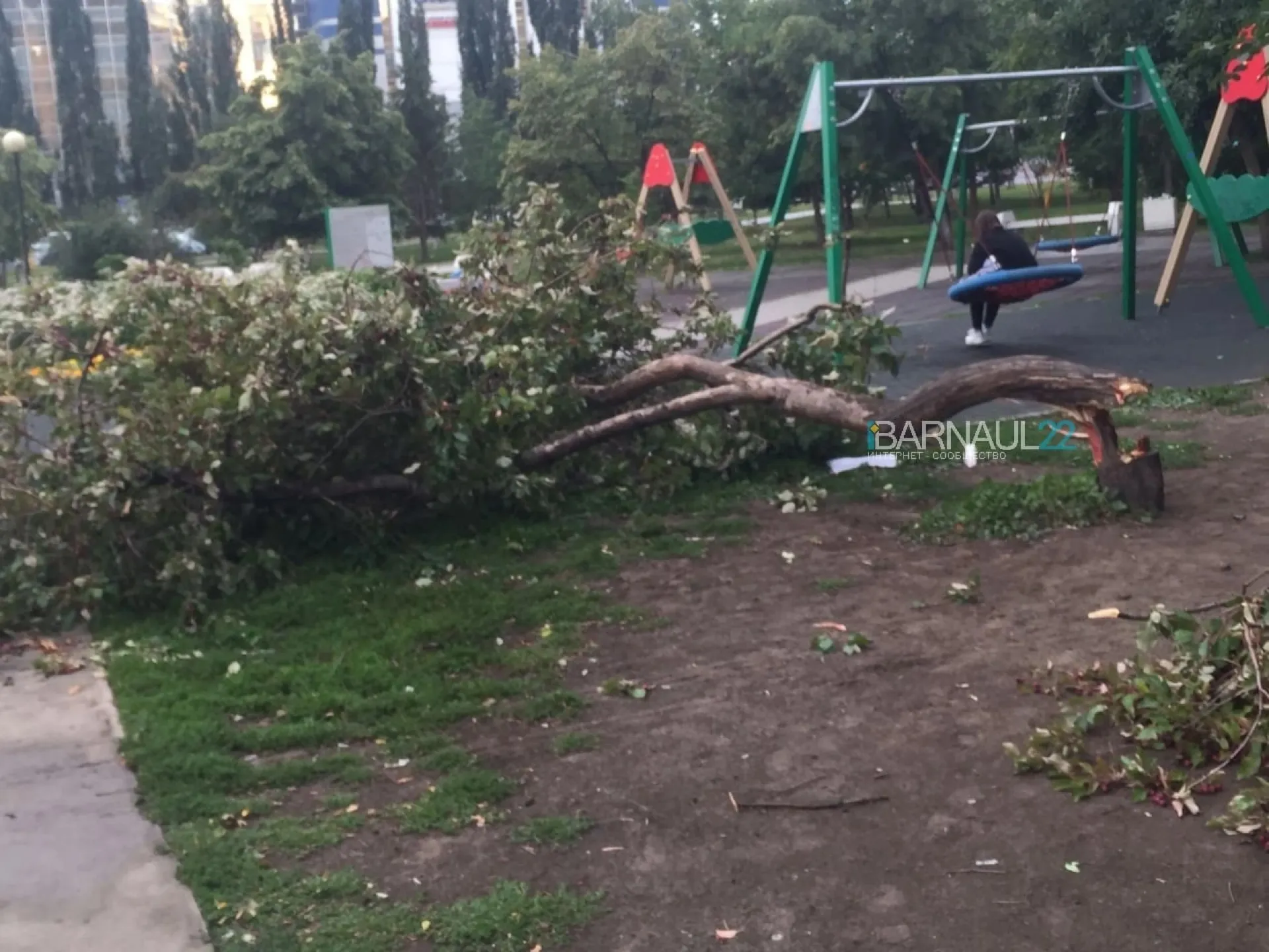 Обвалившееся дерево сломало ногу ребёнку в Барнауле