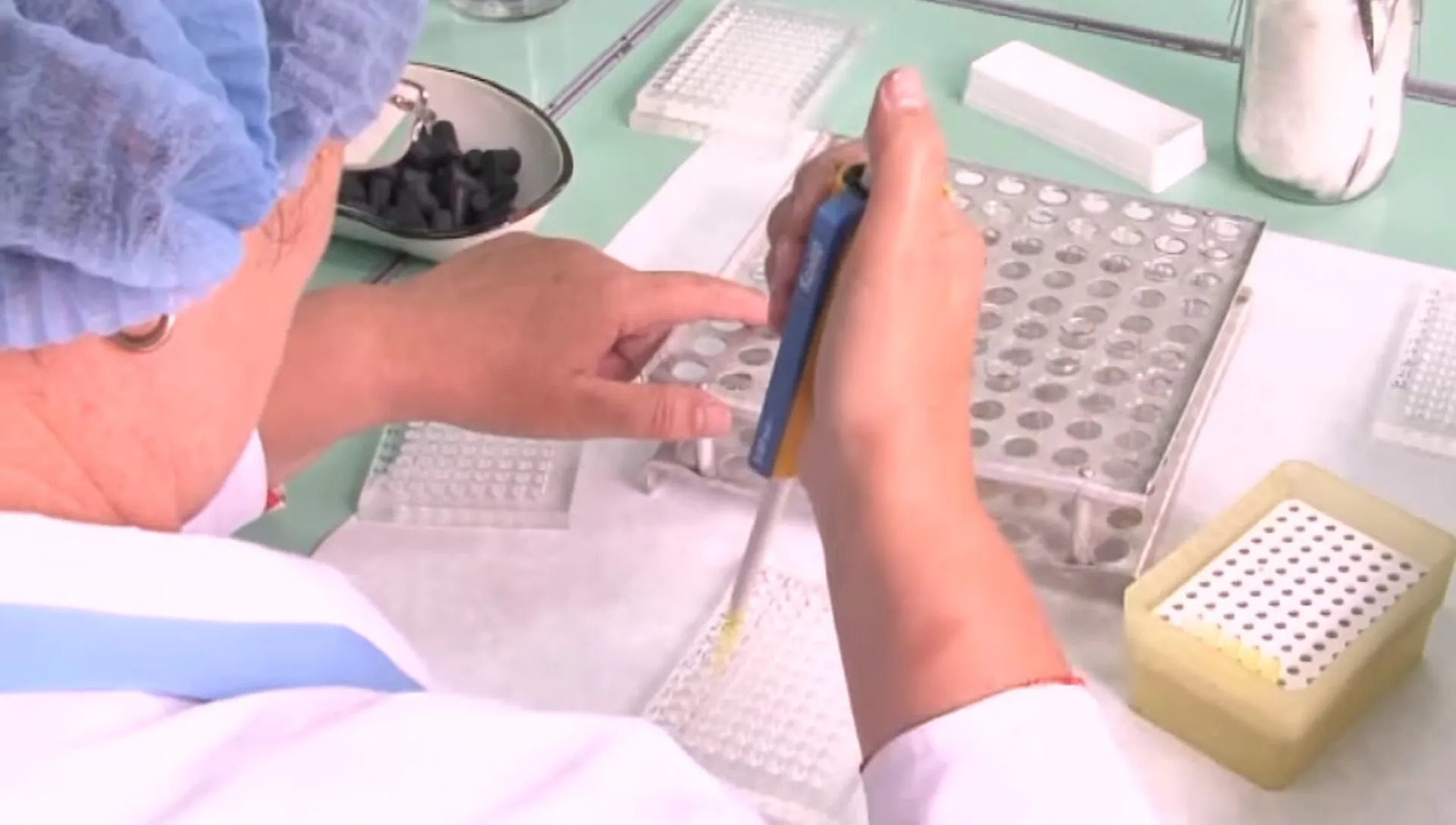 Больше 1000 жителей Алтайского края пострадали от клещей за неделю