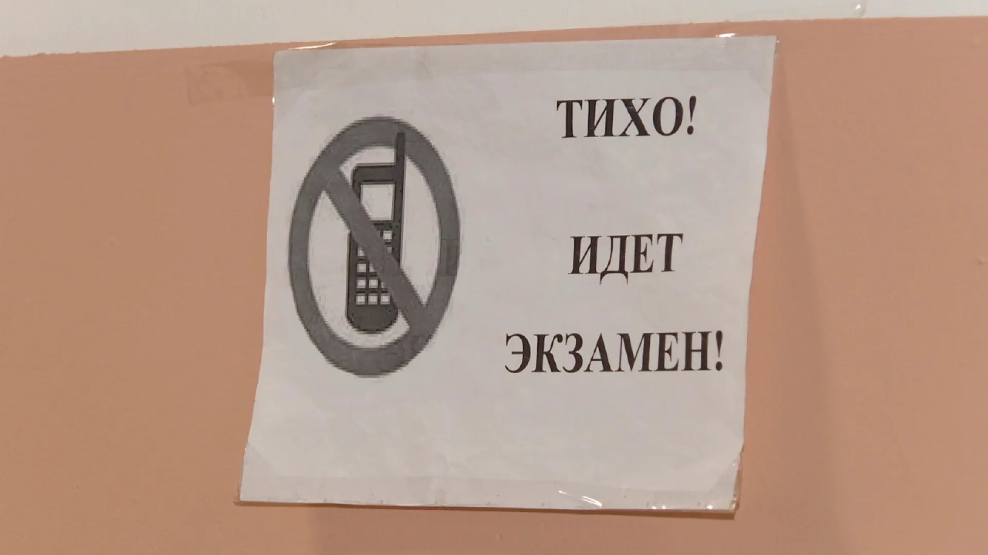 Результаты ЕГЭ начнут публиковать по-новому: что нужно знать выпускникам