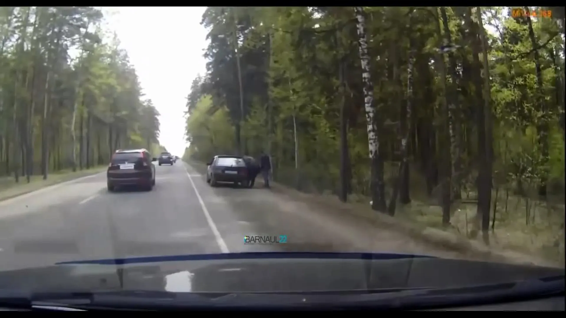 Видео: барнаулец заставил мужчин забрать мусор, который они выбросили в Ленточный бор