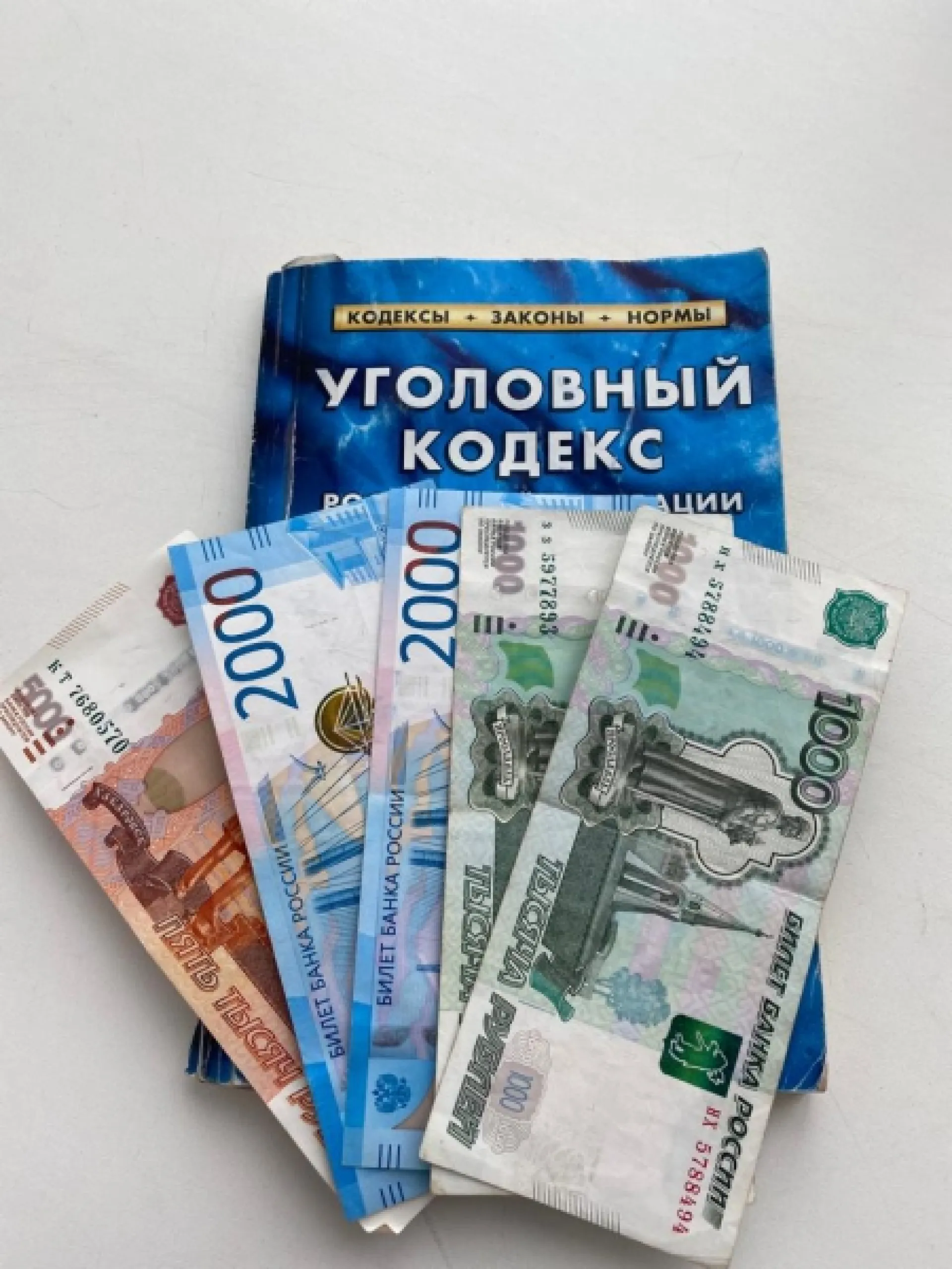 Барнаульца осудили на полгода за попытку дать взятку полицейскому Барнаульца осудили на полгода за попытку дать взятку полицейскому