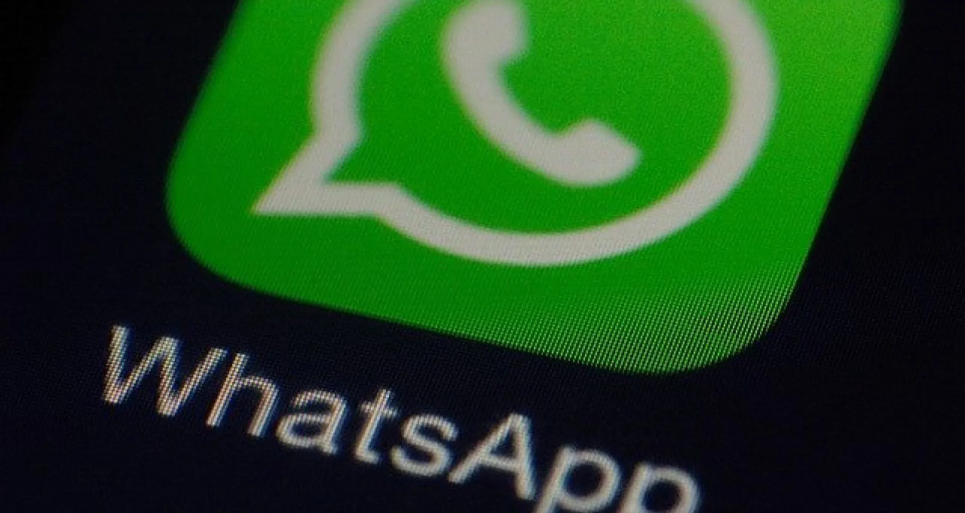 Как сохранить переписки из WhatsApp