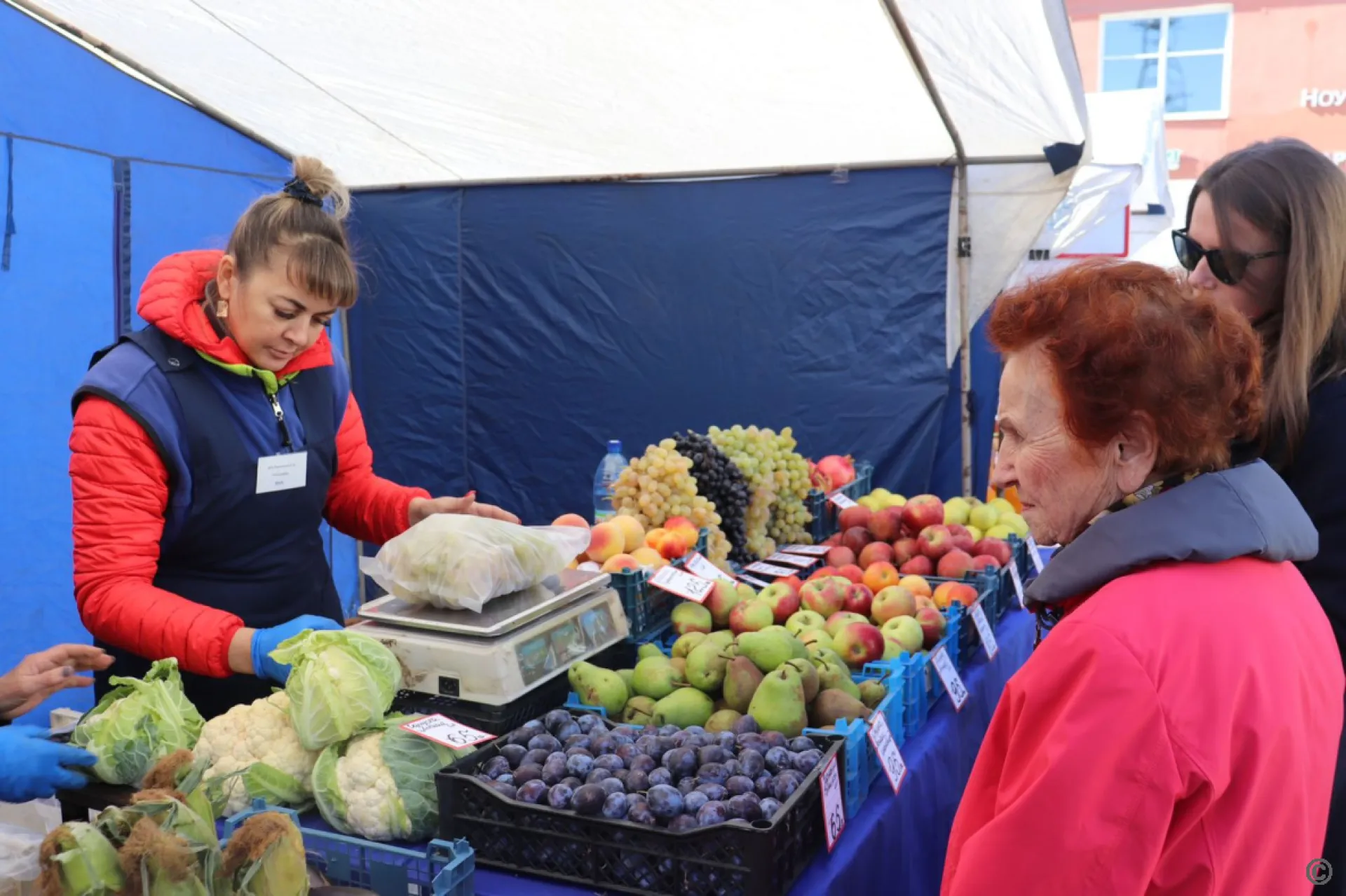 126 предпринимателей представили продукцию на осенней ярмарке в Барнауле 126 предпринимателей представили продукцию на осенней ярмарке в Барнауле