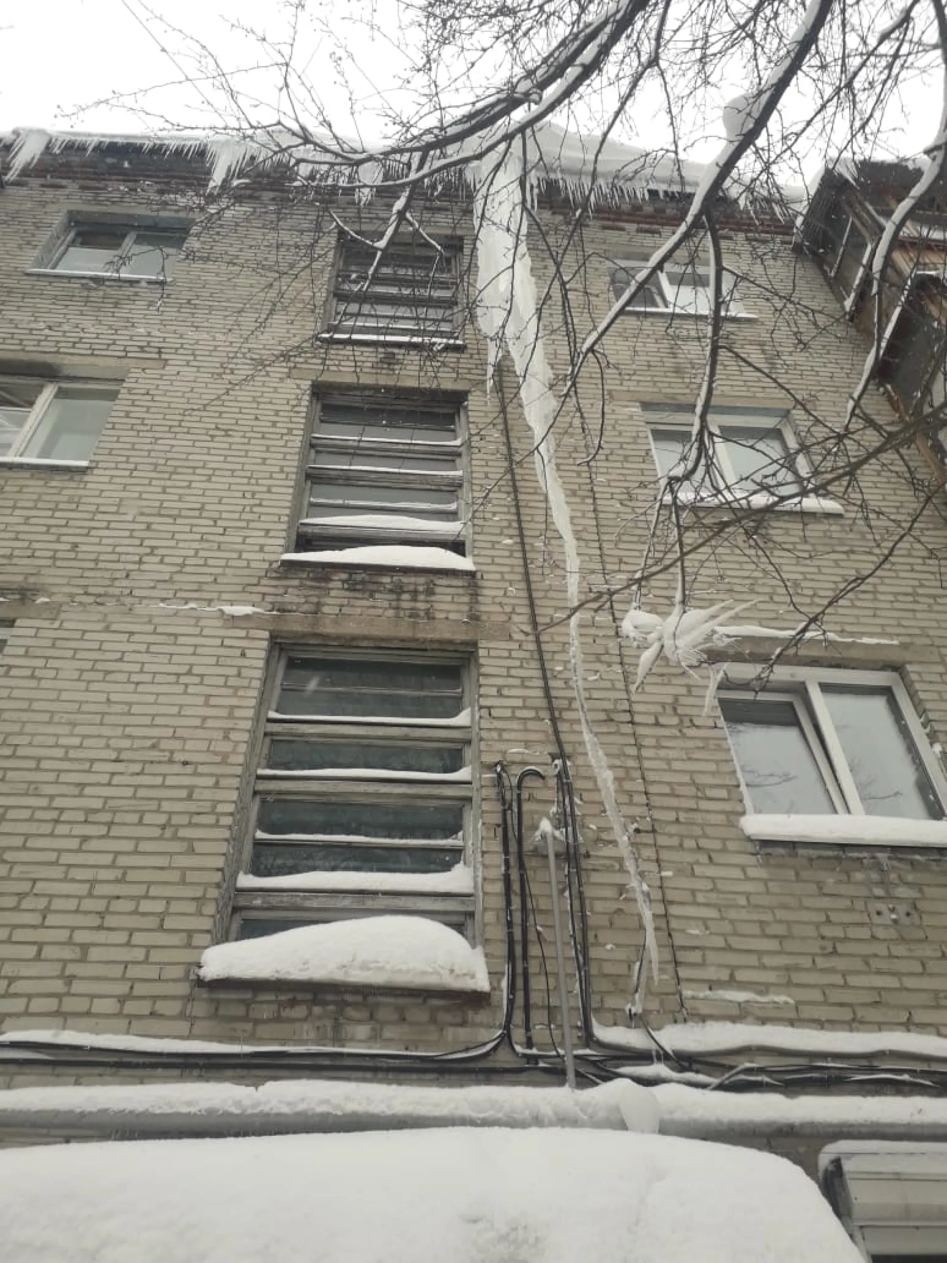 Жительница Барнаула поделилась фото гигантской сосульки