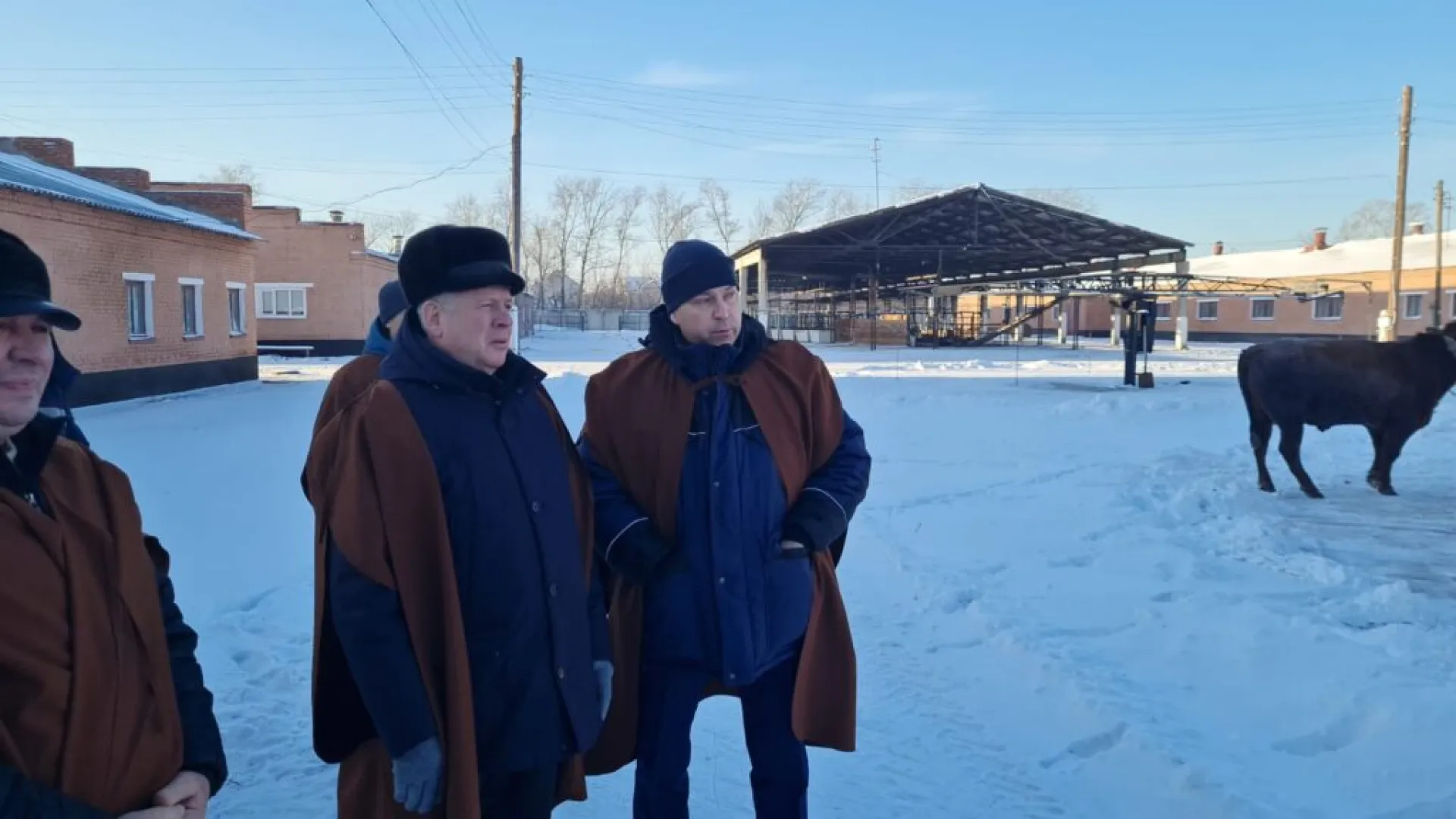 Иван Лоор: С такими племпредприятиями, как АО «Барнаульское», Россия может быть спокойна за генетику племенного скотоводства Иван Лоор: С такими племпредприятиями, как АО «Барнаульское», Россия может быть спокойна за генетику племенного скотоводства