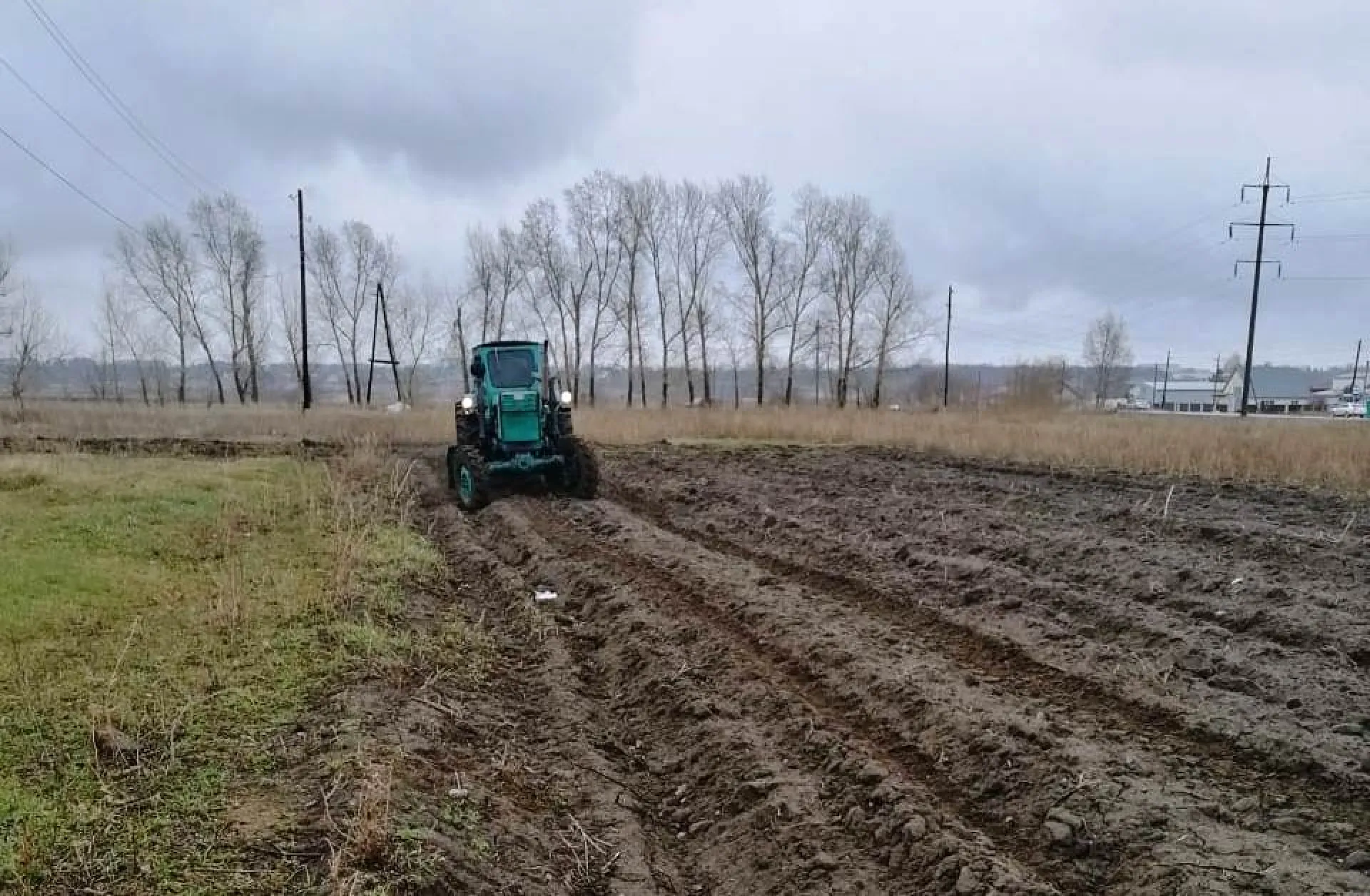В пригородных поселках Барнаула появятся противопожарные полосы