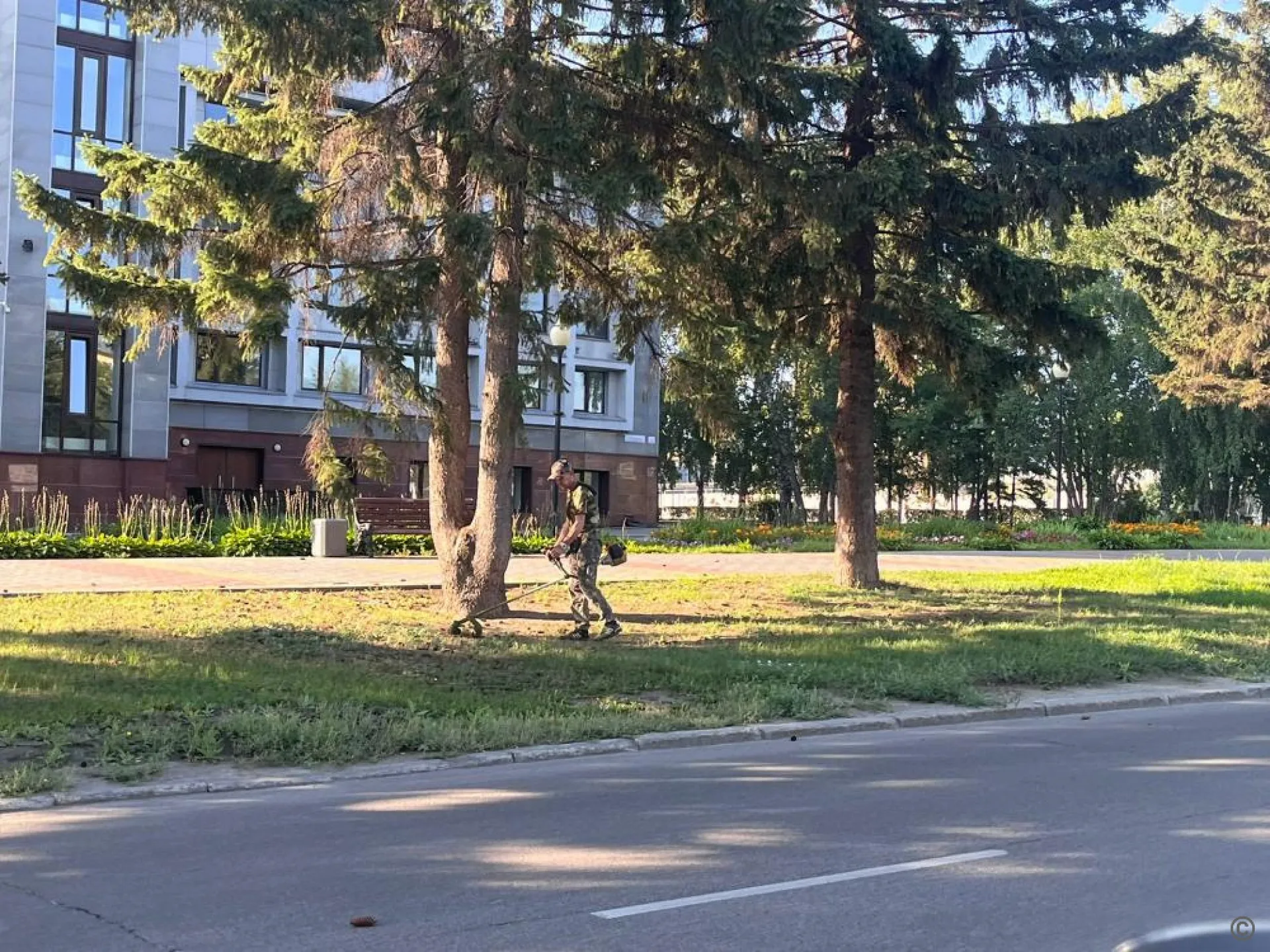 Покос травы и благоустройство территорий продолжается в Барнауле