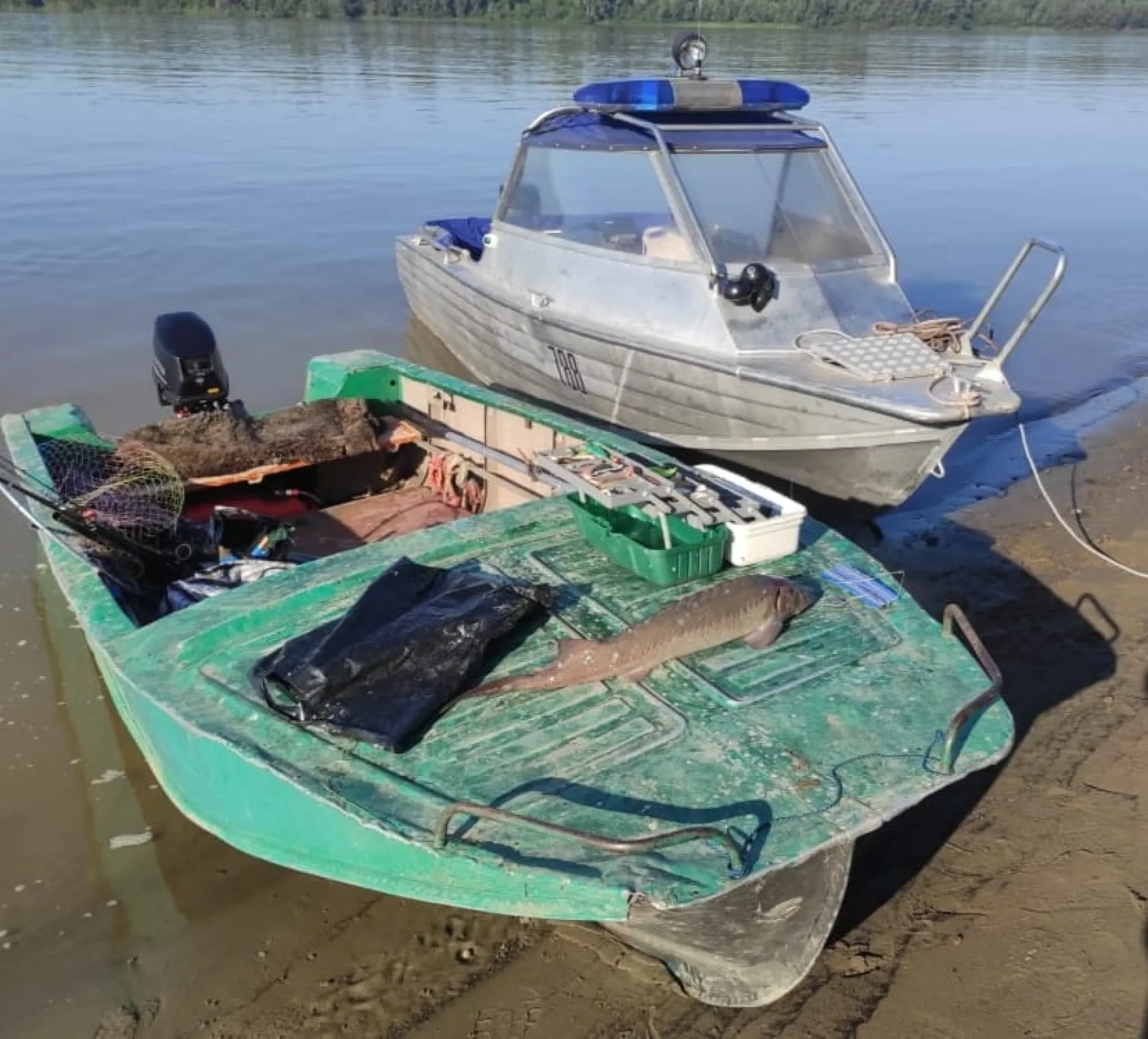 В Алтайском крае транспортная прокуратура направила в суд уголовное дело по факту незаконного оборота краснокнижного осетра