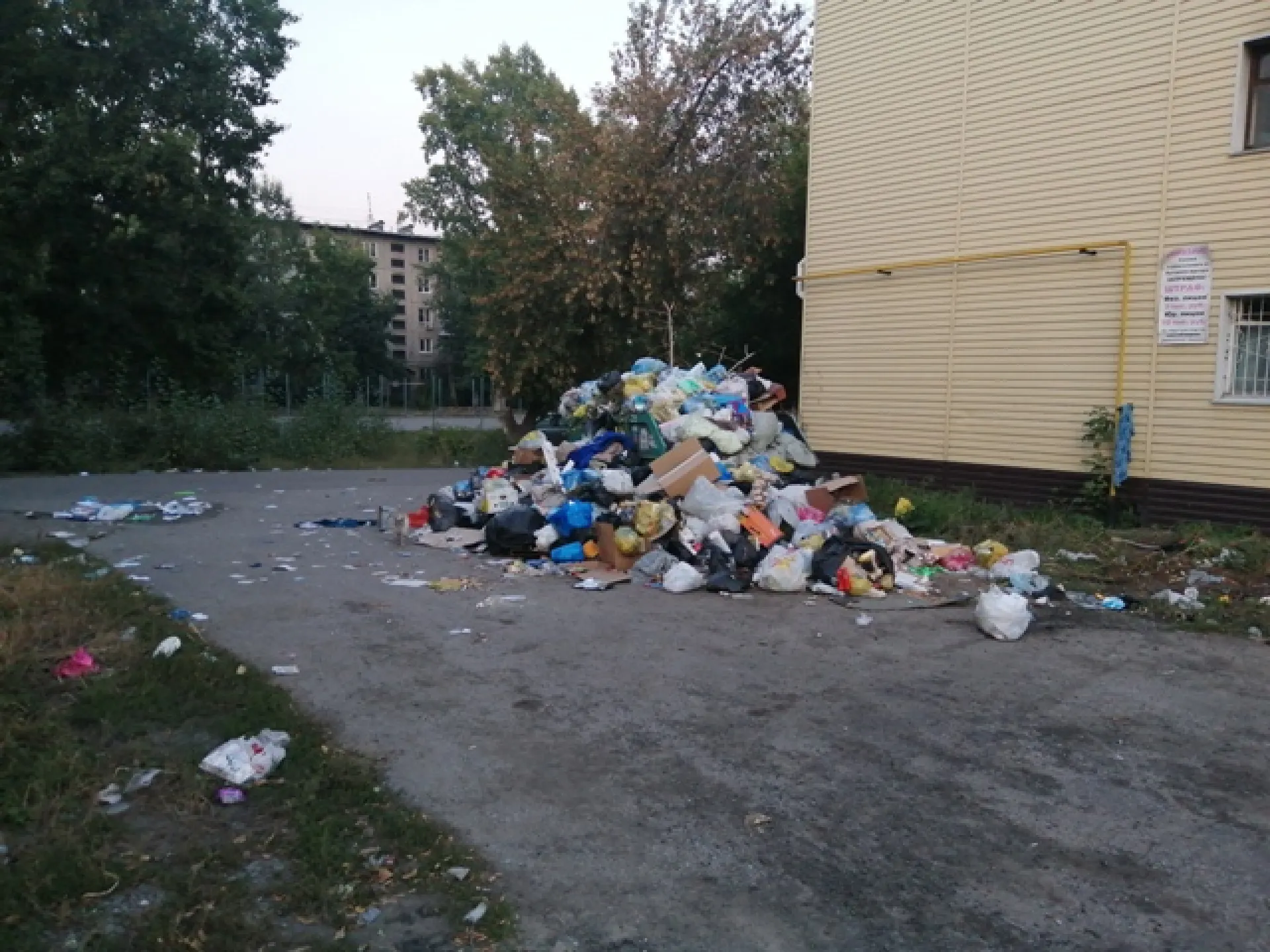 Мусорная куча образовалась в одном из дворов Барнаула