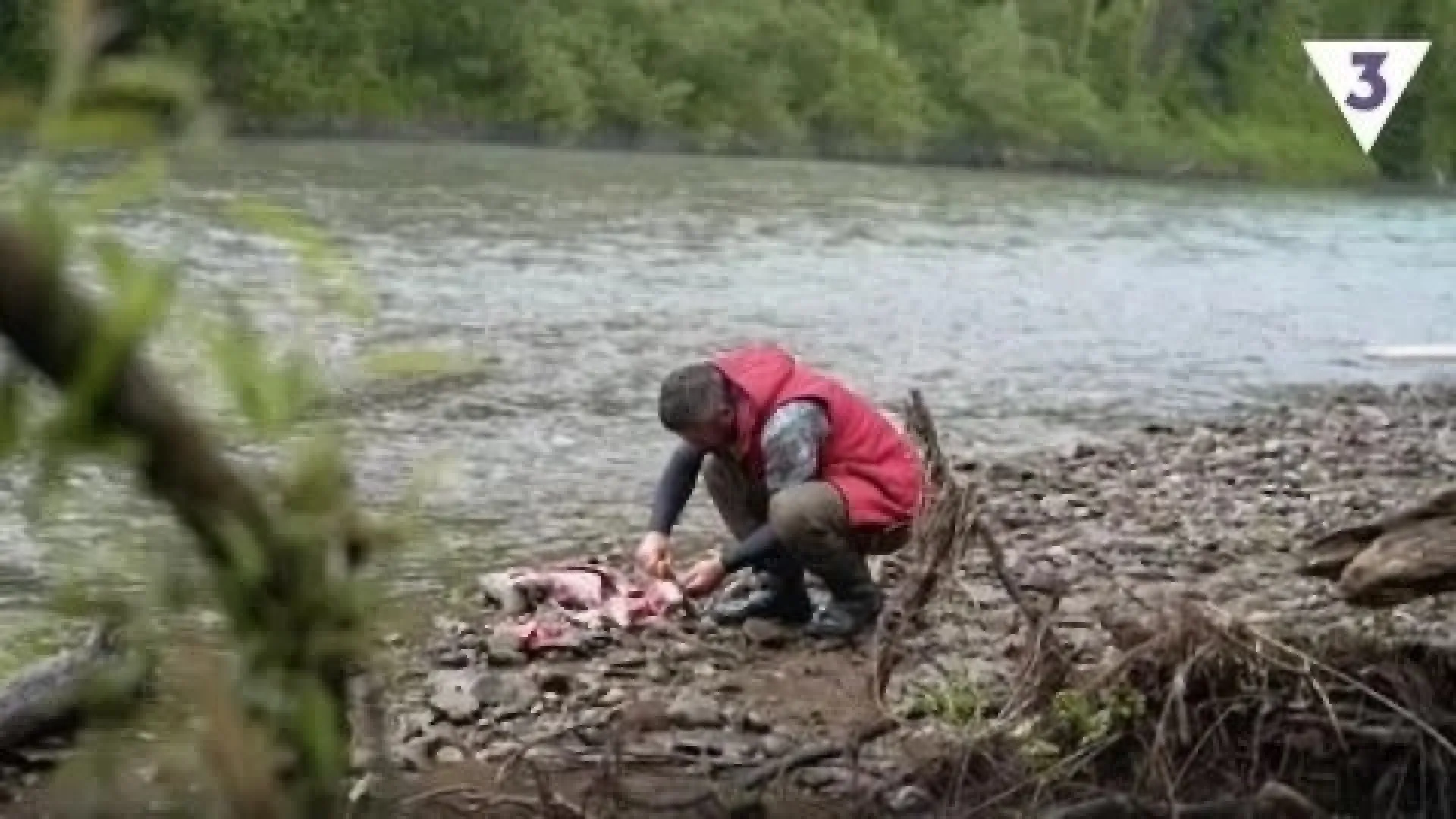 В Республике Алтай возбуждено уголовное дело после убийства выдры на реалити-шоу В Республике Алтай возбуждено уголовное дело после убийства выдры на реалити-шоу