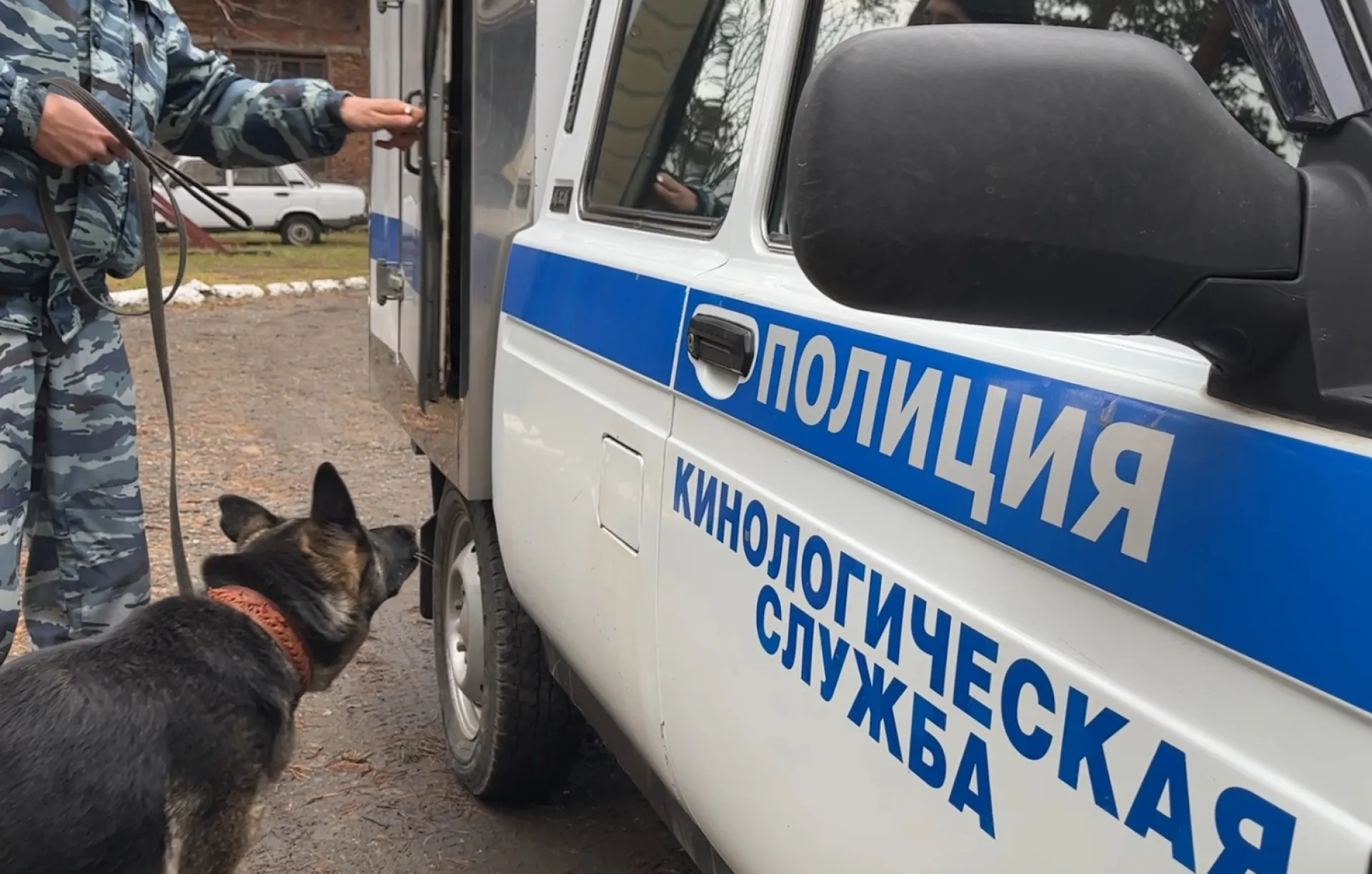 Овчарка нашла пропавшую 83-летнюю туристку в Бийске