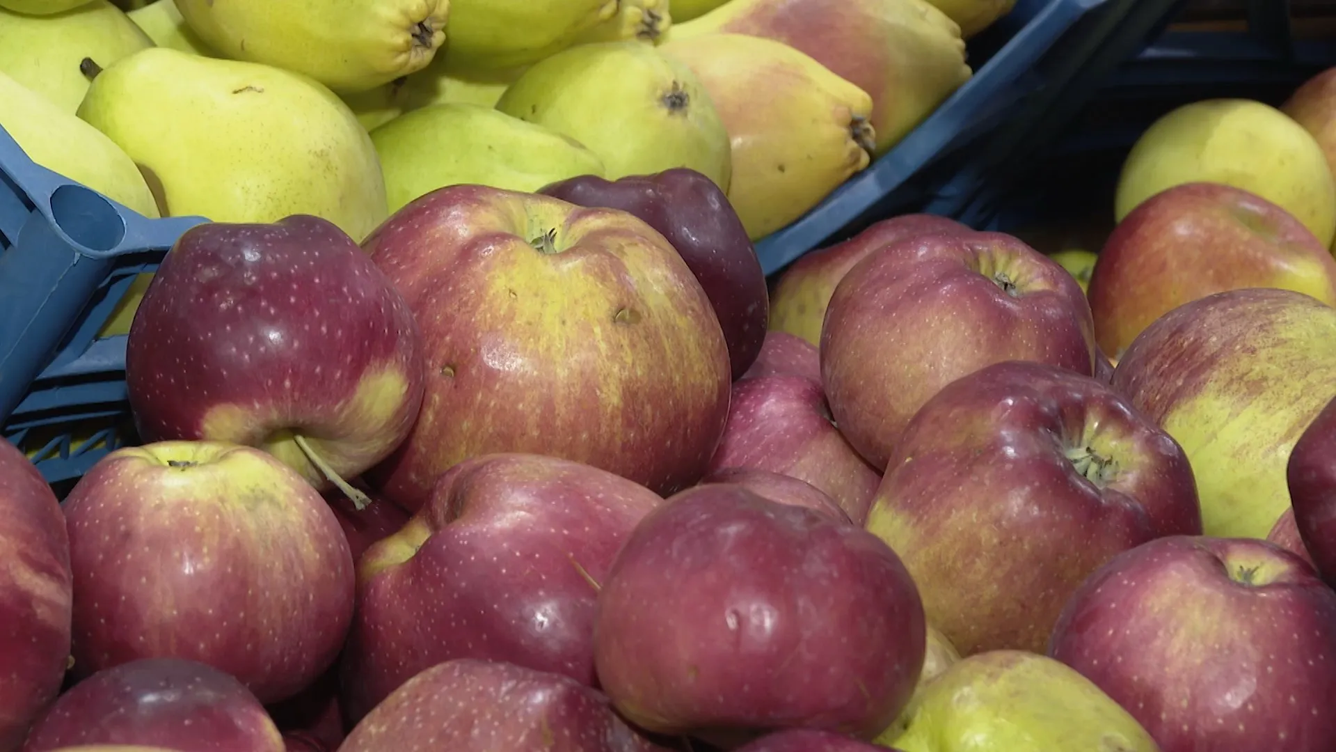Барнаульцев приглашают на продуктовые ярмарки Барнаульцев приглашают на продуктовые ярмарки