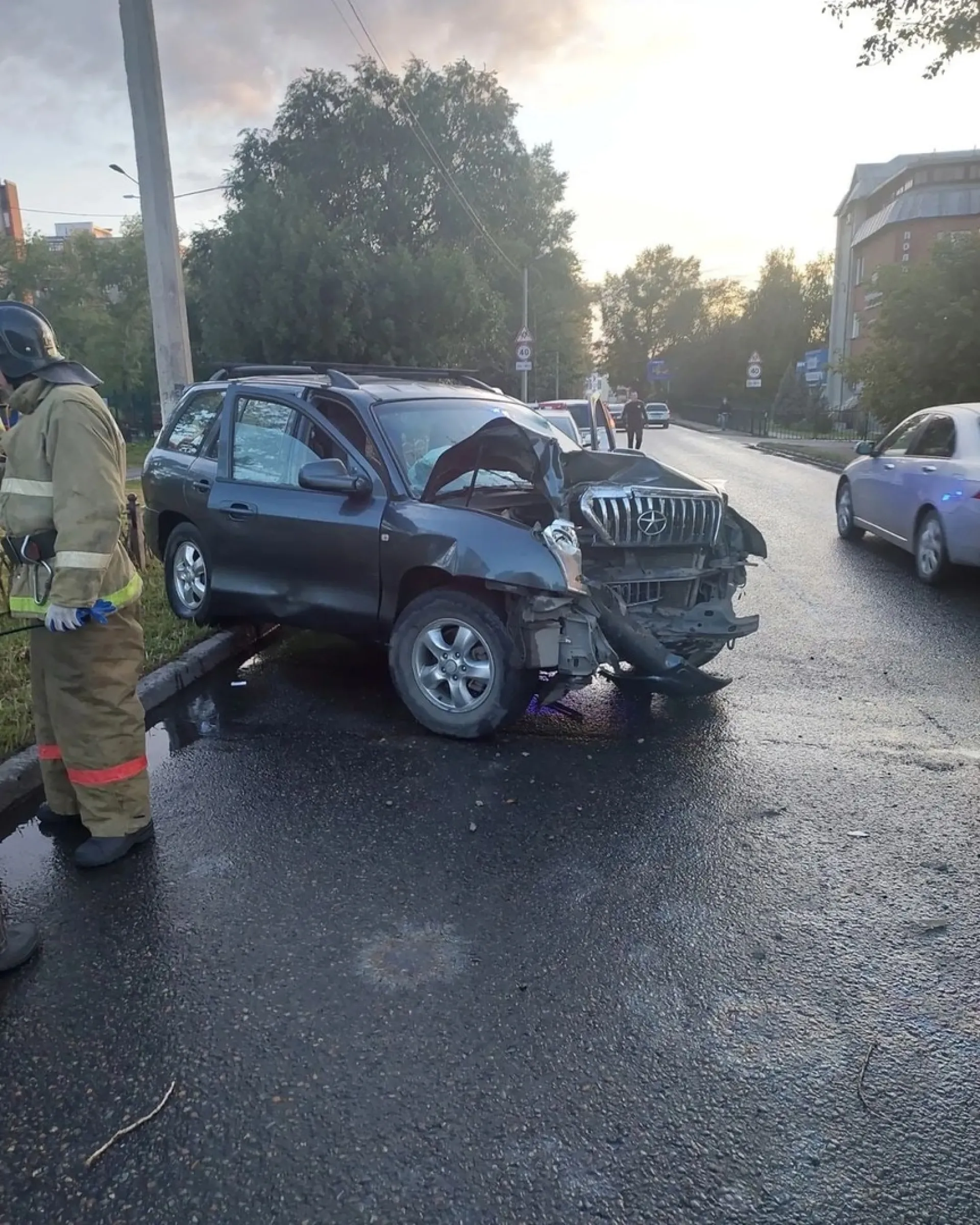 Бийчанин на автомобиле врезался в дерево. Есть пострадавшие