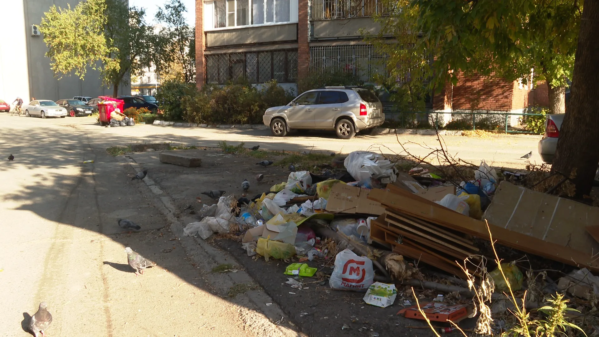 Несанкционированная свалка образовалась в центре Барнаула Несанкционированная свалка образовалась в центре Барнаула