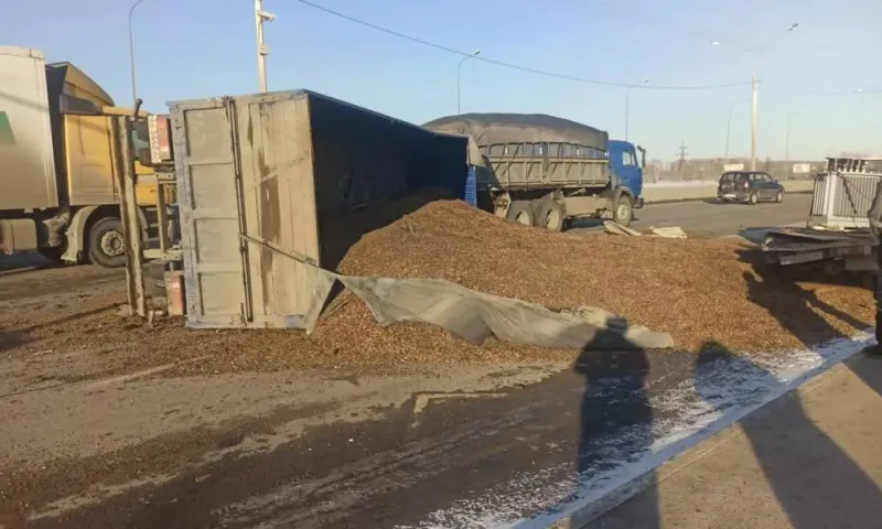 На алтайской трассе перевернулся прицеп с гречкой