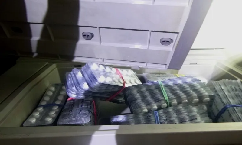 Почти 4,5 тысячи сомнительных таблеток изъяли сотрудники Алтайской таможни