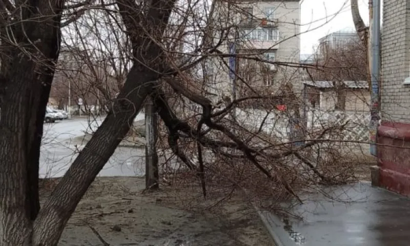 Последствия ночного урагана. Главное