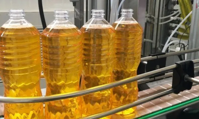 Завод по производству растительного масла открылся в Алтайском крае