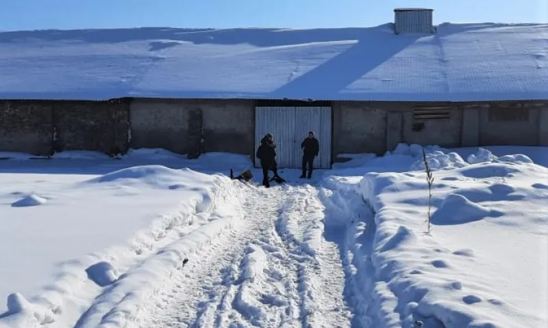 Женщина убила свою 1,5-годовалую дочь на глазах 8-летнего сына в Алтайском крае