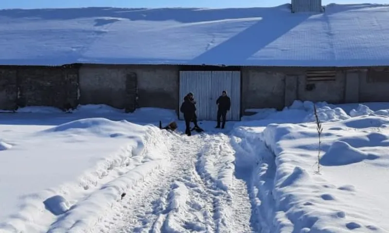 Уполномоченный по правам ребенка в Алтайском крае прокомментировала случай гибели ребенка от рук матери в Советском районе