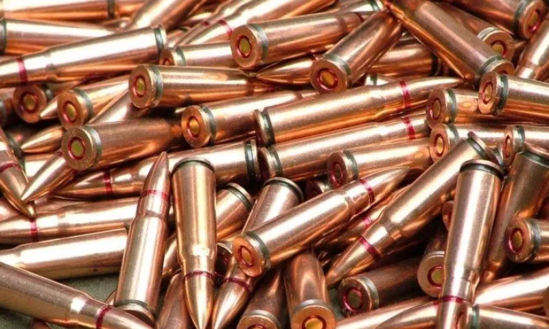 Жительницу Алтайского края осудят за незаконное хранение боеприпасов