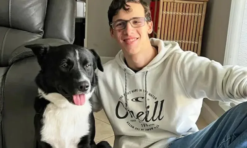 Пёс спас своего 17-летнего хозяина, у которого случился инсульт 