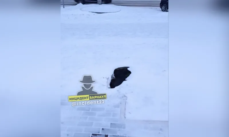 Провал грунта, откуда идёт пар, обнаружили в Барнауле