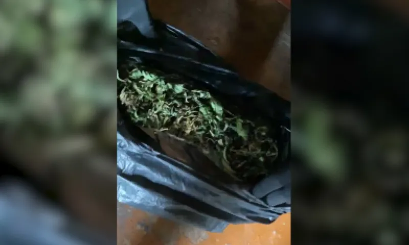 В Новоалтайске задержали мужчину за выращивание и изготовление растительных наркотиков
