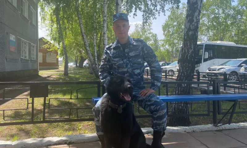 Полицейская собака раскрыла кражу двух баранов в Алтайском крае