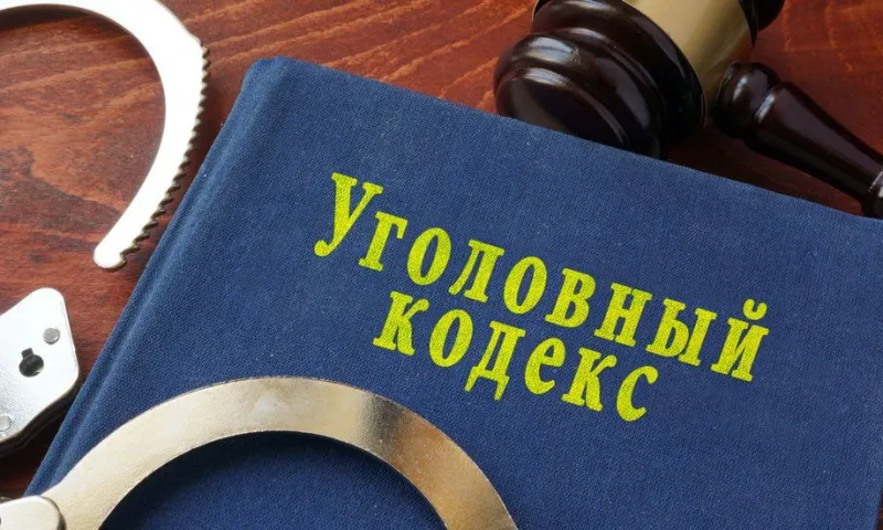 Жительница Алтайского края нанесла несколько ударов полицейскому