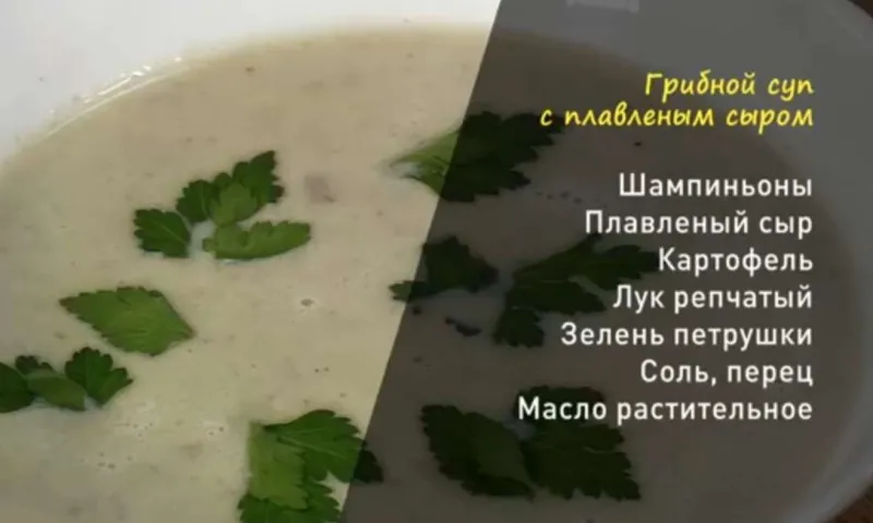 «Утренний канал»: делимся рецептом грибного супа с плавленным сыром