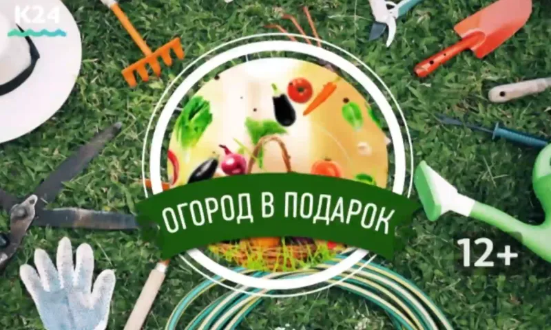 «Огород в подарок»: выпуск 8