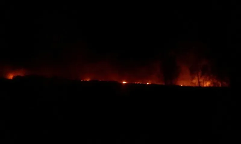 Соцсети: пожар площадью в несколько гектаров произошёл в алтайском селе