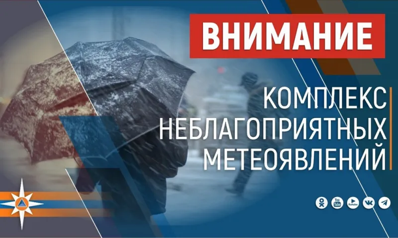 Порывы ветра более 25 м/с ожидаются в Алтайском крае