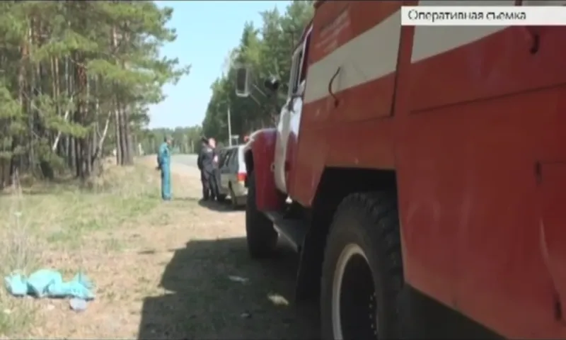 Особый противопожарный режим действует в Алтайском крае