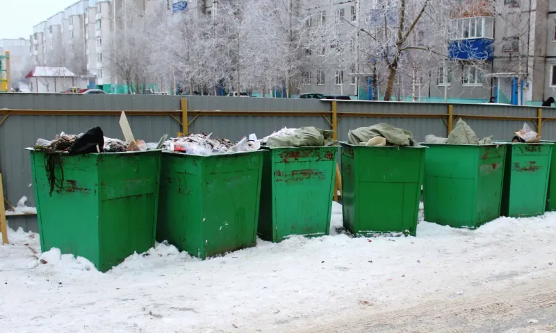 Положил не то: барнаульца оштрафовали за то, что выбросил мусор в контейнер