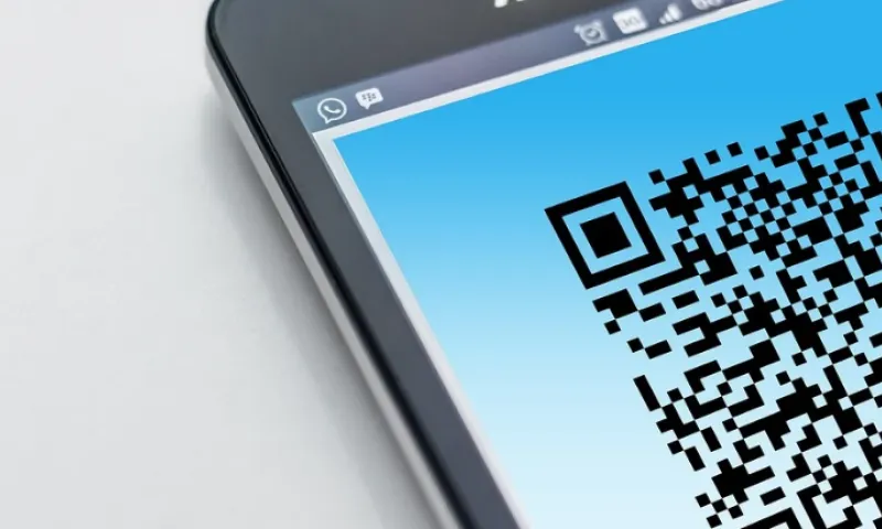 Указ подписан: система QR-кодов вводится в Алтайском крае с 30 октября