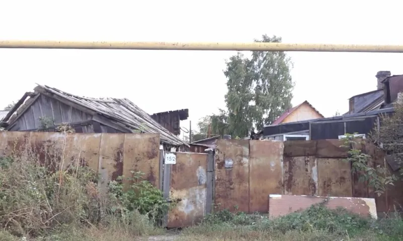 «Была доброй и ласковой»: жители Барнаула зарезали соседскую собаку