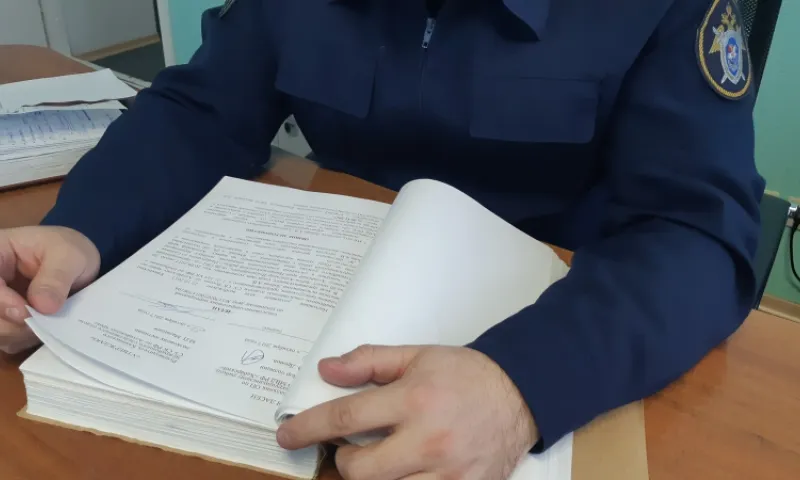 Полуторагодовалый малыш скончался в частном детском саду Бийска