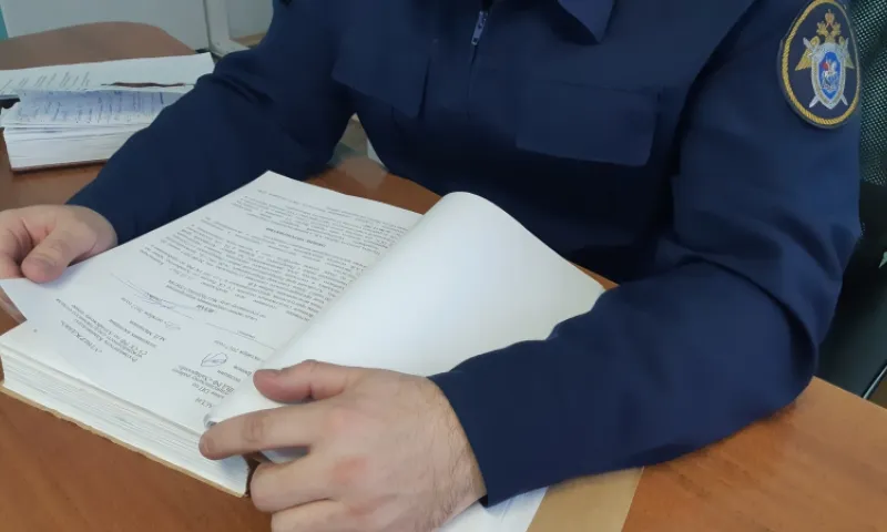 Жителя Тальменского района отправили в психиатрический стационар из-за убийства матери