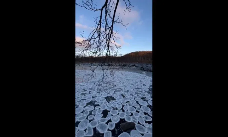 Необычное природное явление на поверхности реки заметили в Мурманской области