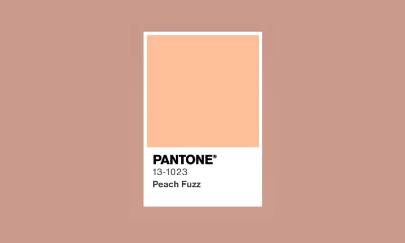 Какие здания в Барнауле будут самыми модными по версии Pantone